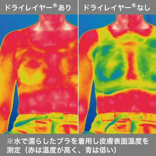 ドライレイヤーベーシックＴ | アウトドアブランド ファイントラック